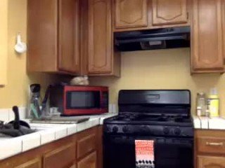 beachgirl66 25 y. o. big tits cam babe loves makes blowjob