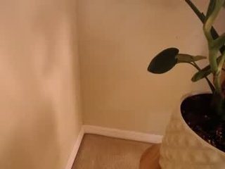 playfulmarriedcouple 0 y. o. 